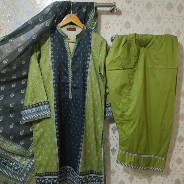 𝗕𝗜𝗡 𝗦𝗔𝗘𝗘𝗗 𝗟𝗨𝗫𝗨𝗥𝗬 𝗟𝗔𝗪𝗡 𝗣𝗥𝗜𝗡𝗧𝗘𝗗 𝗪𝗜𝗧𝗛 𝗙𝗔𝗥𝗦𝗛𝗜 𝗦𝗛𝗔𝗟𝗪𝗔𝗥 𝟯𝗣𝗜𝗘𝗖𝗘 👌𝗦𝗧𝗜𝗧𝗖𝗛𝗘𝗗 𝗖𝗢𝗟𝗟𝗘𝗖𝗧𝗜𝗢𝗡 𝟮𝟬𝟮𝟱_