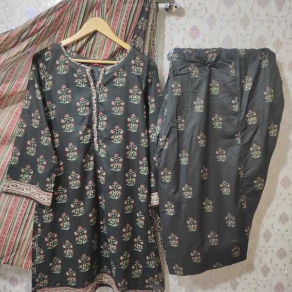 𝗕𝗜𝗡 𝗦𝗔𝗘𝗘𝗗 𝗟𝗨𝗫𝗨𝗥𝗬 𝗟𝗔𝗪𝗡 𝗣𝗥𝗜𝗡𝗧𝗘𝗗 𝗪𝗜𝗧𝗛 𝗙𝗔𝗥𝗦𝗛𝗜 𝗦𝗛𝗔𝗟𝗪𝗔𝗥 𝟯𝗣𝗜𝗘𝗖𝗘 👌𝗦𝗧𝗜𝗧𝗖𝗛𝗘𝗗 𝗖𝗢𝗟𝗟𝗘𝗖𝗧𝗜𝗢𝗡 𝟮𝟬𝟮𝟱_